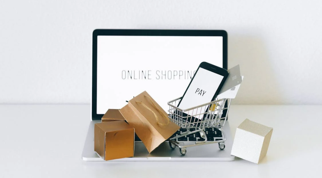 Read more about the article E-commerce Website Building in 2024: Expert Guide for Success