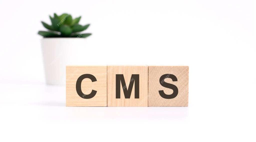 Headless CMS: The Future of Content Management Systems